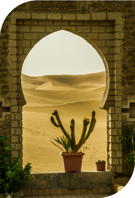 Kasbah and Sahara Adventure