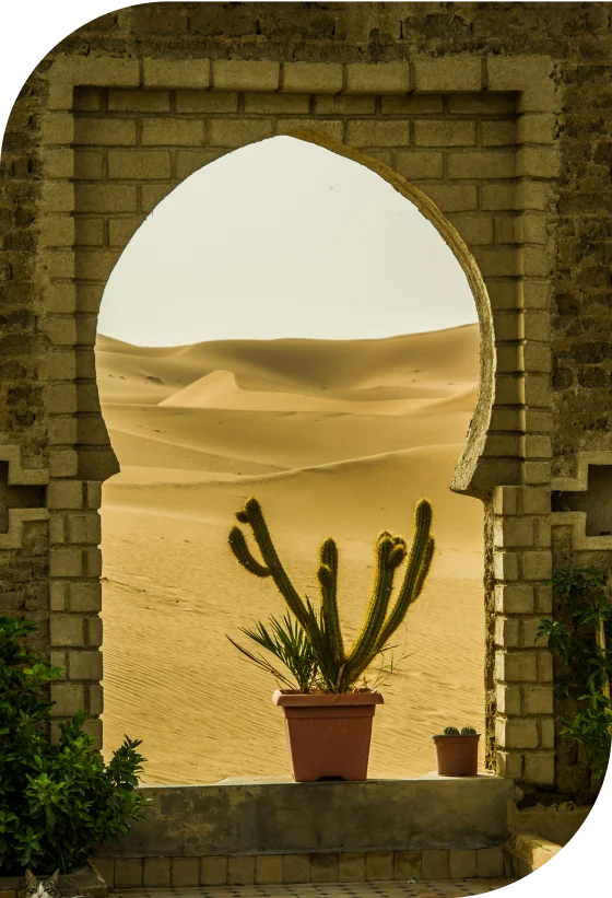 Kasbah and Sahara Adventure