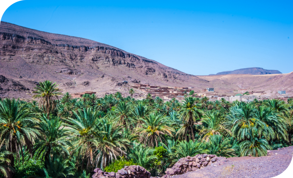 trekking in morocco