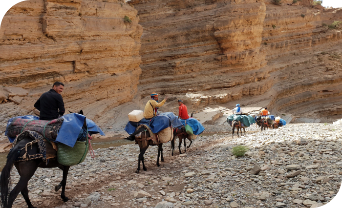 Hiking trekking in Morocco